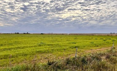 Campo en General Almada