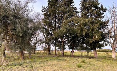 Campo en General Almada