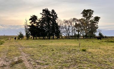 Campo en General Almada