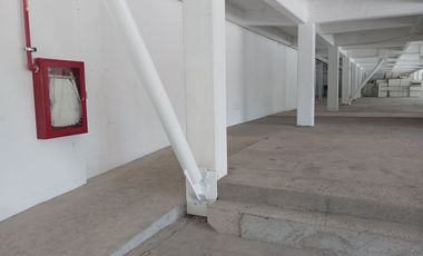 Renta De Local Comercial