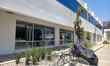 Renta De Local Comercial