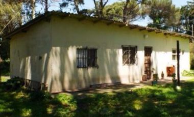 Quinta de 7500m2 con casas, galpones, y stud para caballos