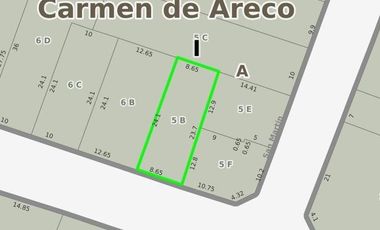 Casa en venta - 2 Dormitorios 2 Baños - 205Mts2 - Carmen de Areco