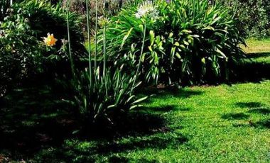 Casa quinta sobre lote de 10.000m2 en Necochea