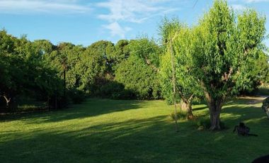 Casa quinta sobre lote de 10.000m2 en Necochea