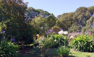 Casa quinta sobre lote de 10.000m2 en Necochea