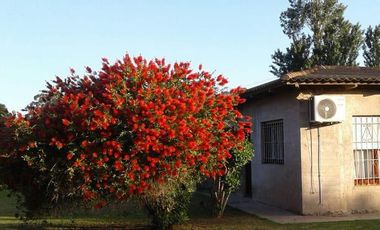 Casa quinta sobre lote de 10.000m2 en Necochea