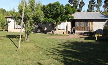 Casa quinta sobre lote de 10.000m2 en Necochea