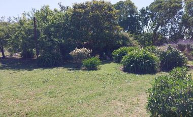 Casa quinta sobre lote de 10.000m2 en Necochea