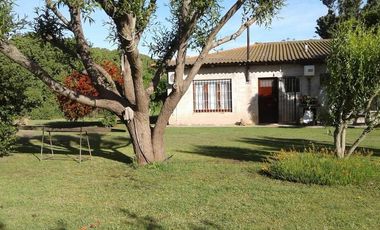 Casa quinta sobre lote de 10.000m2 en Necochea
