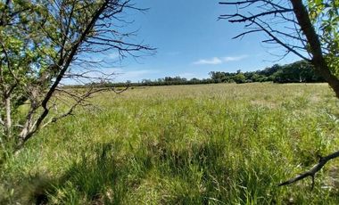 Casa quinta sobre lote de 10.000m2 en Necochea