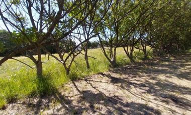 Casa quinta sobre lote de 10.000m2 en Necochea