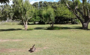 Casa quinta sobre lote de 10.000m2 en Necochea
