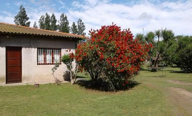 Casa quinta sobre lote de 10.000m2 en Necochea