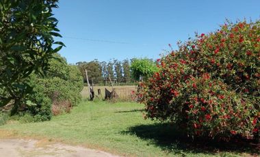 Casa quinta sobre lote de 10.000m2 en Necochea