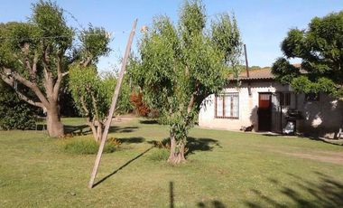 Casa quinta sobre lote de 10.000m2 en Necochea