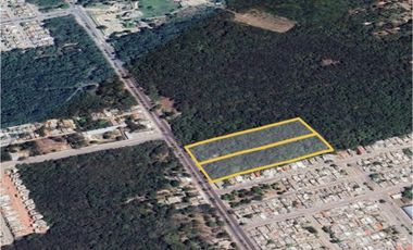 SE VENDEN 2 TERRENOS COMERCIALES EN CHETUMAL CON 2 FRENTES. CALZ CENTENARIO