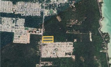 SE VENDEN 2 TERRENOS COMERCIALES EN CHETUMAL CON 2 FRENTES. CALZ CENTENARIO