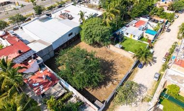 Lote Verano Bucerias