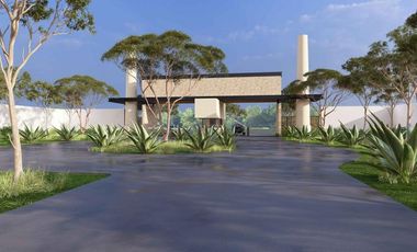 Terreno en  Venta urbanizado Tixkokob Yucatán