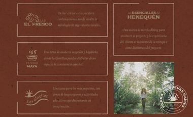 Terreno en  Venta urbanizado Tixkokob Yucatán