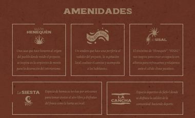 Terreno en  Venta urbanizado Tixkokob Yucatán