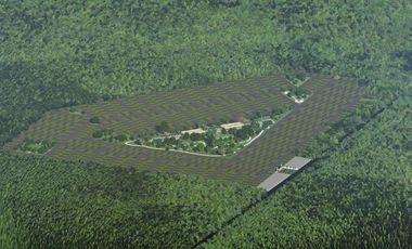 Terreno en  Venta urbanizado Tixkokob Yucatán