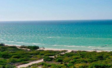 Departamento en Pueblo Chuburna Puerto