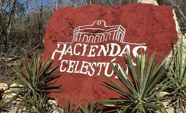 Venta de Terrenos en Mérida Yucatán, Celestún