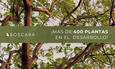 Venta lotes urbanizados Mérida Yucatán Sitpach