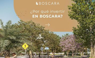 Venta lotes urbanizados Mérida Yucatán Sitpach