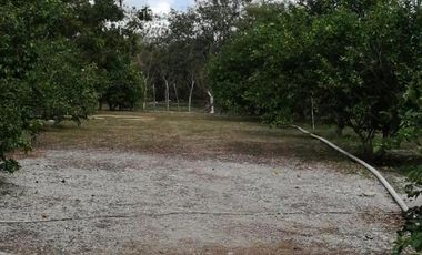 Terreno Residencial en Venta Carretera Merida-Progreso