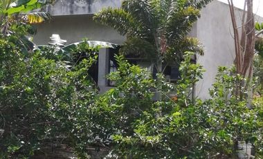 Terreno Residencial en Venta Carretera Merida-Progreso