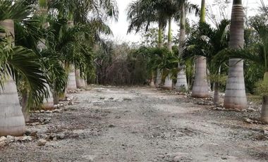 Terreno Residencial en Venta Carretera Merida-Progreso
