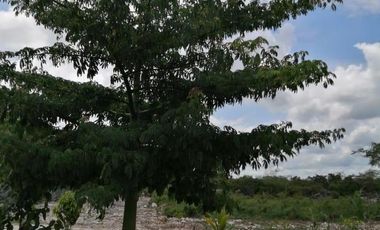 Terreno Residencial en Venta Carretera Merida-Progreso
