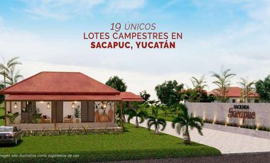VentaTerreno Campestre, Sacapuc, Motul Yucatán