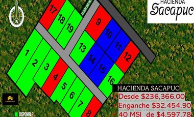 VentaTerreno Campestre, Sacapuc, Motul Yucatán