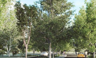 Terreno en  Venta Norte de Mérida