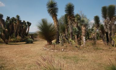 Quinta en San Miguel de Allende 1 hectarea