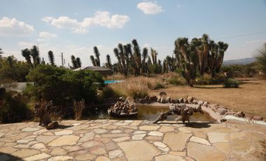 Quinta en San Miguel de Allende 1 hectarea