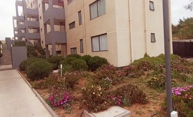 Los Aromos 1345 (1 Est ) [2508-5]