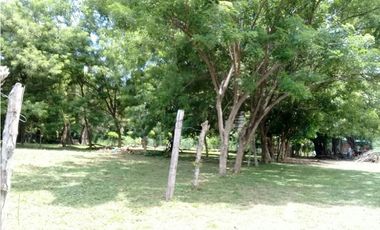 SE VENDE TERRENO EN GORGONA