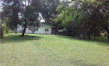 SE VENDE TERRENO EN GORGONA
