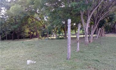 SE VENDE TERRENO EN GORGONA