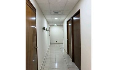 ALQUILO OFICINA EN TORE GENERALI DE 340 M2