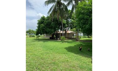 VENTA DE HERMOSA CASA FINCA EN PALMA DE VINO MONTERIA