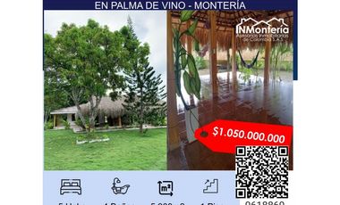 VENTA DE HERMOSA CASA FINCA EN PALMA DE VINO MONTERIA