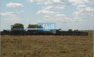 Venta Finca ganadera con pastos mejorados y pista Aerea en Cumaribo