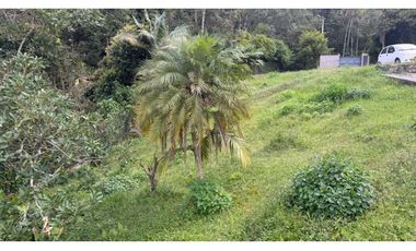 Venta Casa Loma Del Chocho Envigado