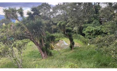 Venta Casa Loma Del Chocho Envigado